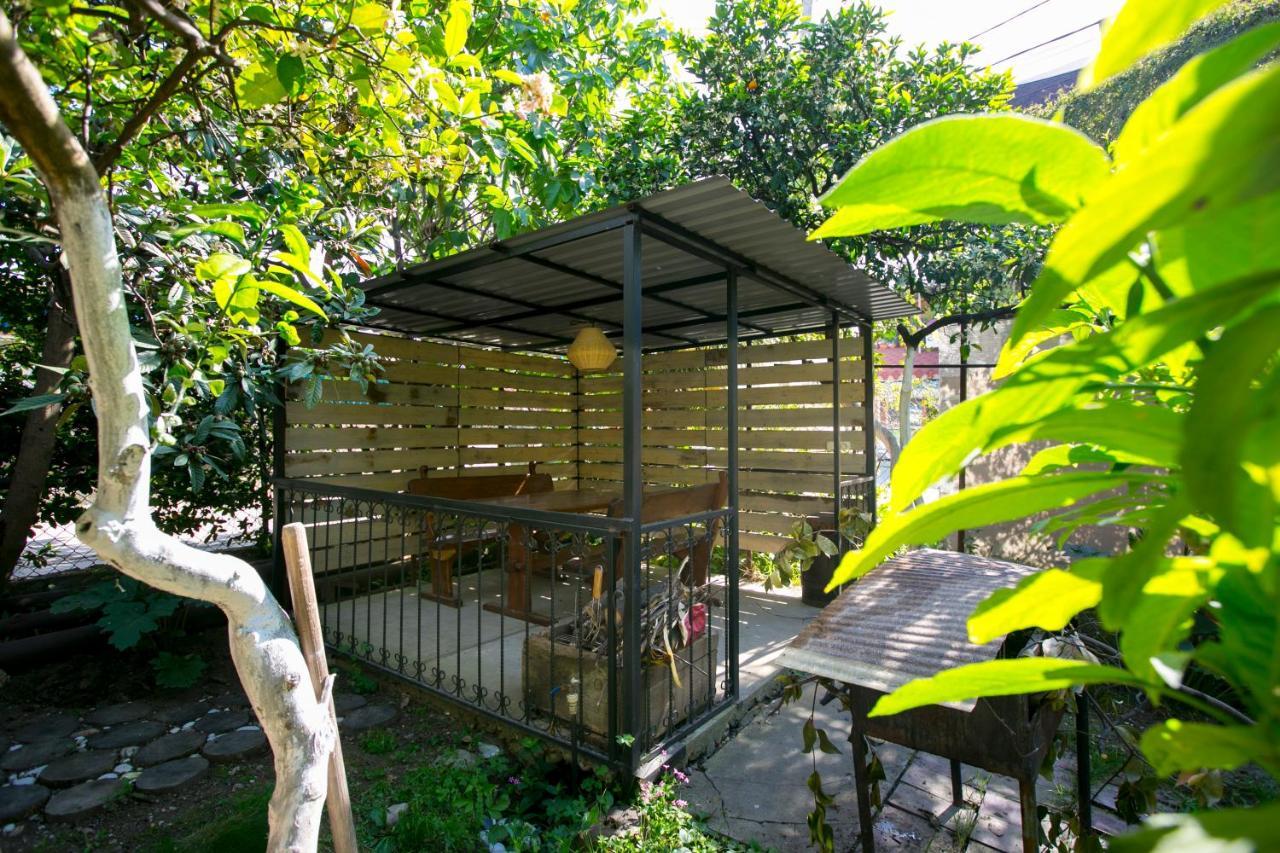Guest House Lavr Gagra Exterior photo