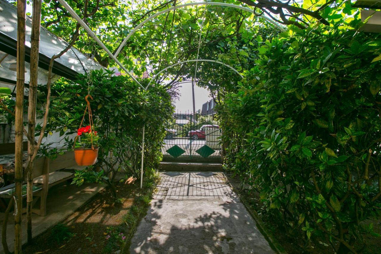 Guest House Lavr Gagra Exterior photo